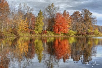 Colors On The Lake by 5fishcreative art print