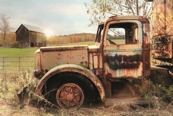 Rusty Junker by Lori Deiter art print