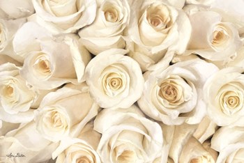 Top View - White Roses by Lori Deiter art print