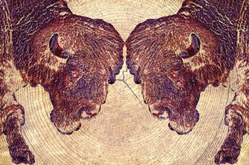 Bison 2 by Surma &amp; Guillen art print