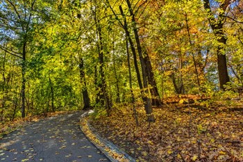 Clove Lakes Park in Autumn D by Franklin Kearney art print