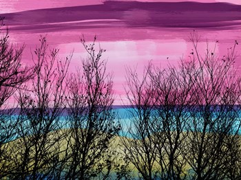 Tree Sunset 2 by Skip Nall art print