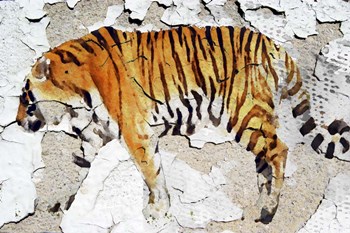 Siberian Tiger V by Irena Orlov art print