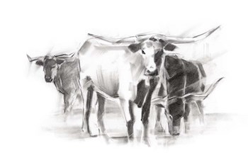 Contemporary Cattle II by Ethan Harper art print