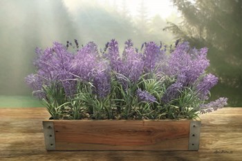 Lavender Planter by Lori Deiter art print