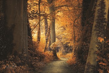 Path to the Light by Martin Podt art print