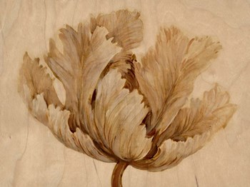 Sepia Tulip on Birch I by Timothy O&#39;Toole art print