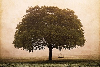 The Hopeful Oak by Debra Van Swearingen art print