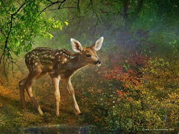 Forest Fawn by Chris Vest art print