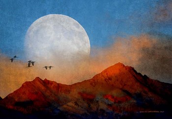 Ibis Moon by Chris Vest art print