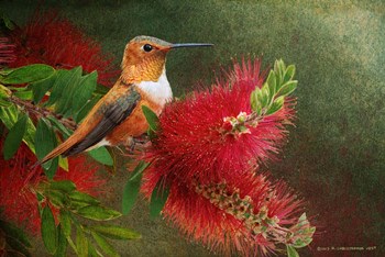 Red Bloom Hummingbird by Chris Vest art print