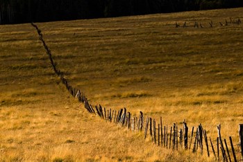 Escudilla Mountain Meadow Fall 1 by Tom Brossart art print