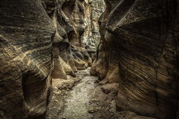 Slot Canyon Utah 7 by Duncan art print