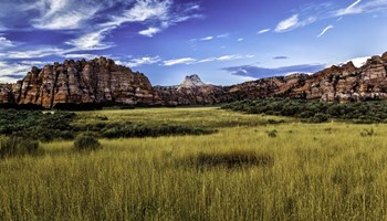 Kolob Terrace Road by Duncan art print