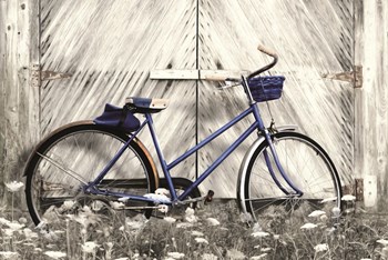 Blue Bike at Barn by Lori Deiter art print