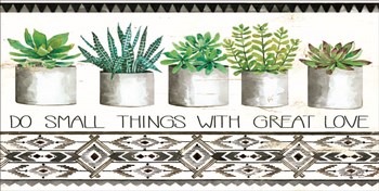 Do Small Things Succulents by Cindy Jacobs art print