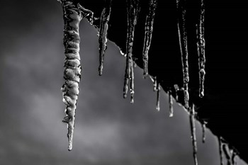 Icicles 01 by Anita Vincze art print