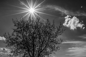 Painted on Sky by Anita Vincze art print