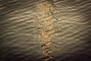 Painted on Water 06 by Anita Vincze art print