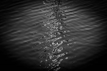 Painted on Water 12 by Anita Vincze art print