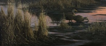 Black Ducks at Dusk by Wilhelm J. Goebel art print