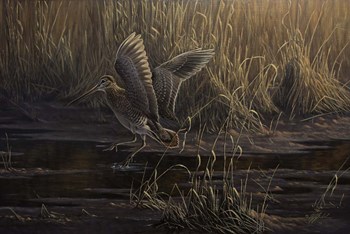 Dropping In by Wilhelm J. Goebel art print