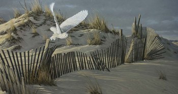 Launch - Snowy Owl by Wilhelm J. Goebel art print