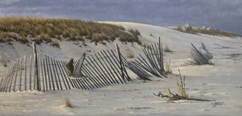 Passage - Peregrine Falcon by Wilhelm J. Goebel art print