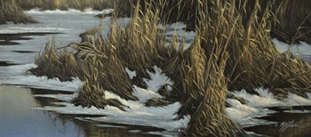 Snipe Flight by Wilhelm J. Goebel art print