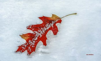 A Moment Together by Bill Sherrell art print