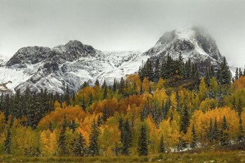 A Rocky Mountain Autumn by Bill Sherrell art print