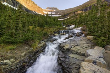 Falling For Beauty by Bill Sherrell art print