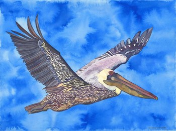 Flying Pelican by Carissa Luminess art print