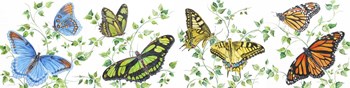 Summertime Butterflies E by Jean Plout art print