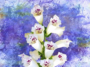Foxgloves by Ata Alishahi art print