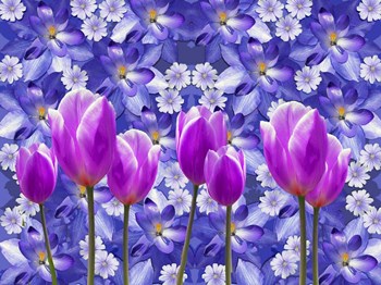 Purple Tulips by Ata Alishahi art print