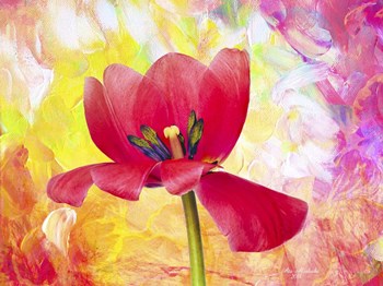 Poppy Beauty by Ata Alishahi art print