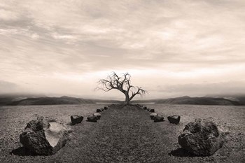 Dry Land 2 by Ata Alishahi art print