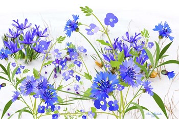 My Garden 3 by Ata Alishahi art print