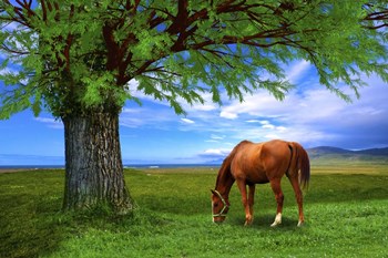 Nature S21 by Ata Alishahi art print