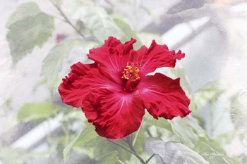 Red Is Beautiful by Ata Alishahi art print