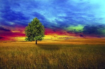 Lone Tree 2D by Ata Alishahi art print