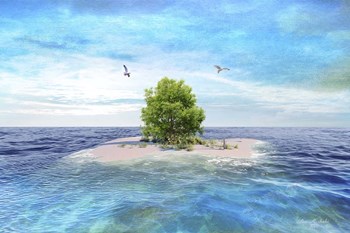 My Island by Ata Alishahi art print