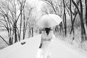 One Winter Day 2 by Ata Alishahi art print