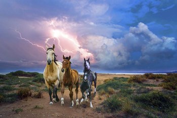 Wild Horses Of The Sea by Ata Alishahi art print