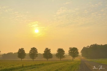 Country Morning Glow by 5fishcreative art print