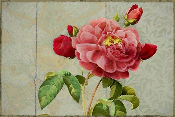 Pink Rose Painted on Wooden Panel by Cora Niele art print