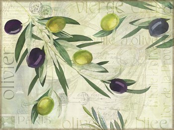 Olives de Nice by Cora Niele art print