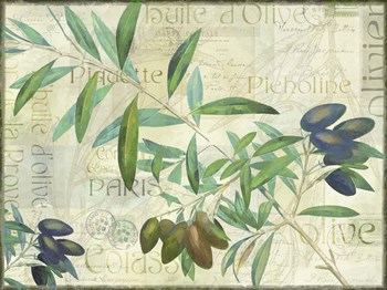Olives Picholines by Cora Niele art print