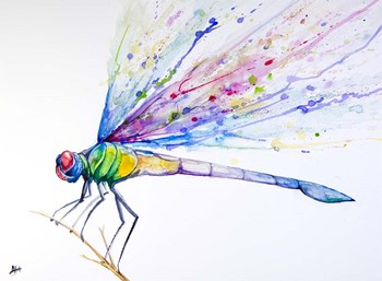 Volant by Marc Allante art print